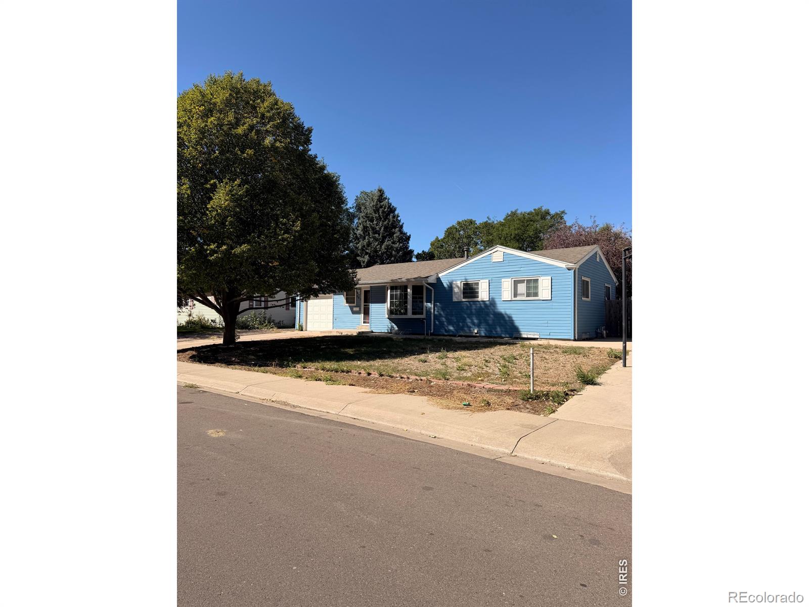 203 Balsam Street