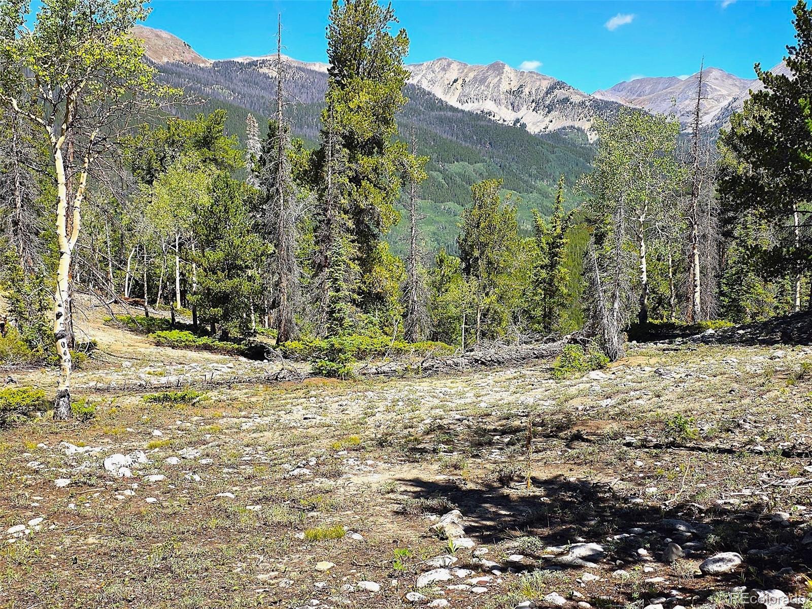 840 Forest Service Road 890