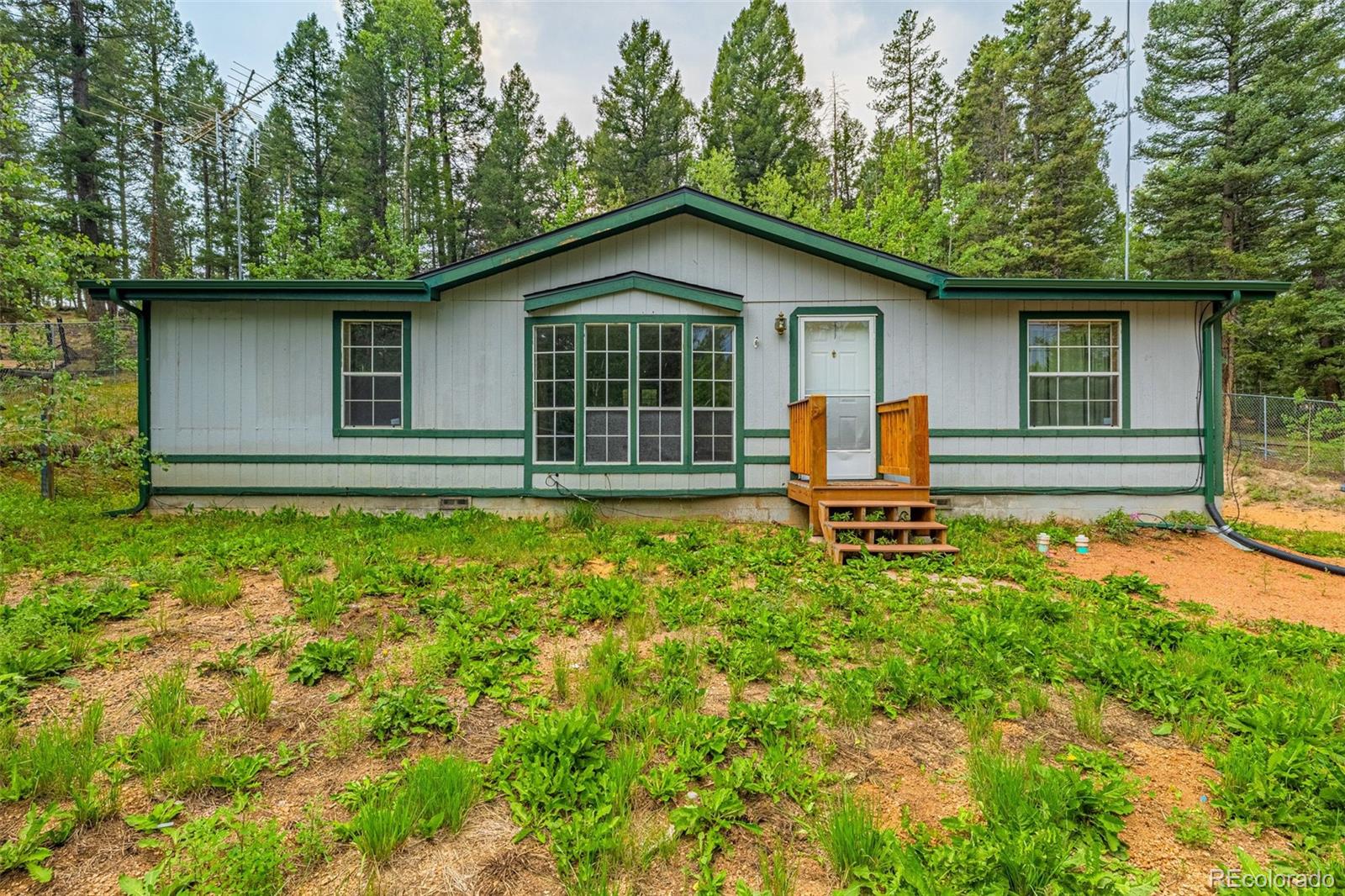 22 Silver Trail