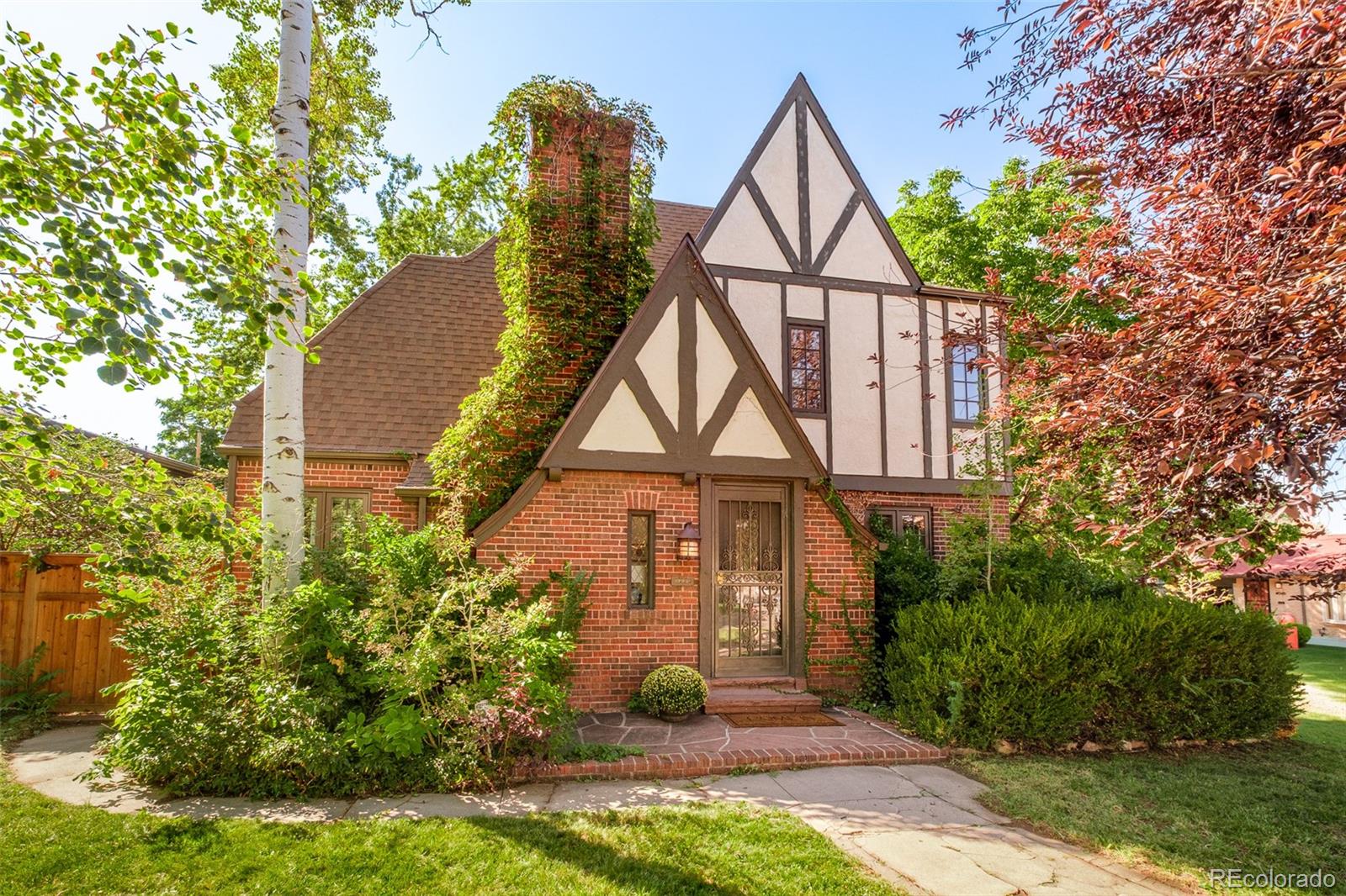 395 Albion Street