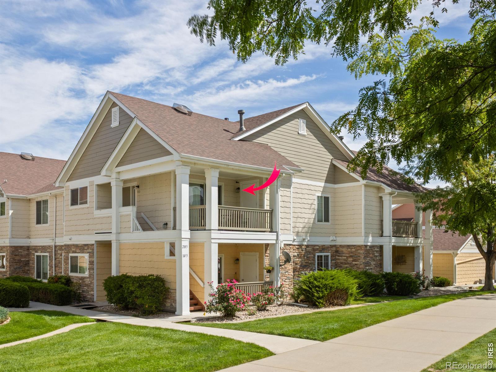 4615 Hahns Peak Drive Unit 203