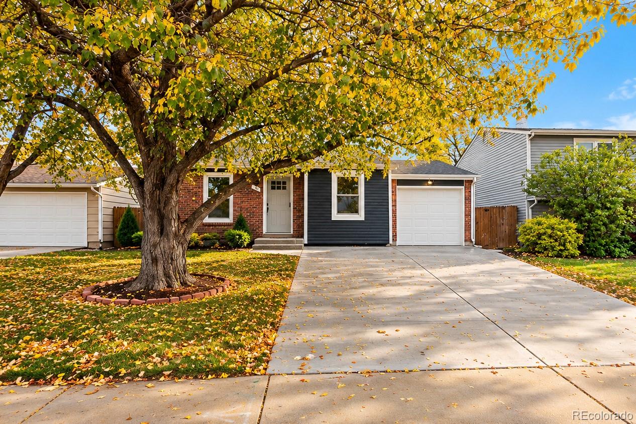 764 Madison Way