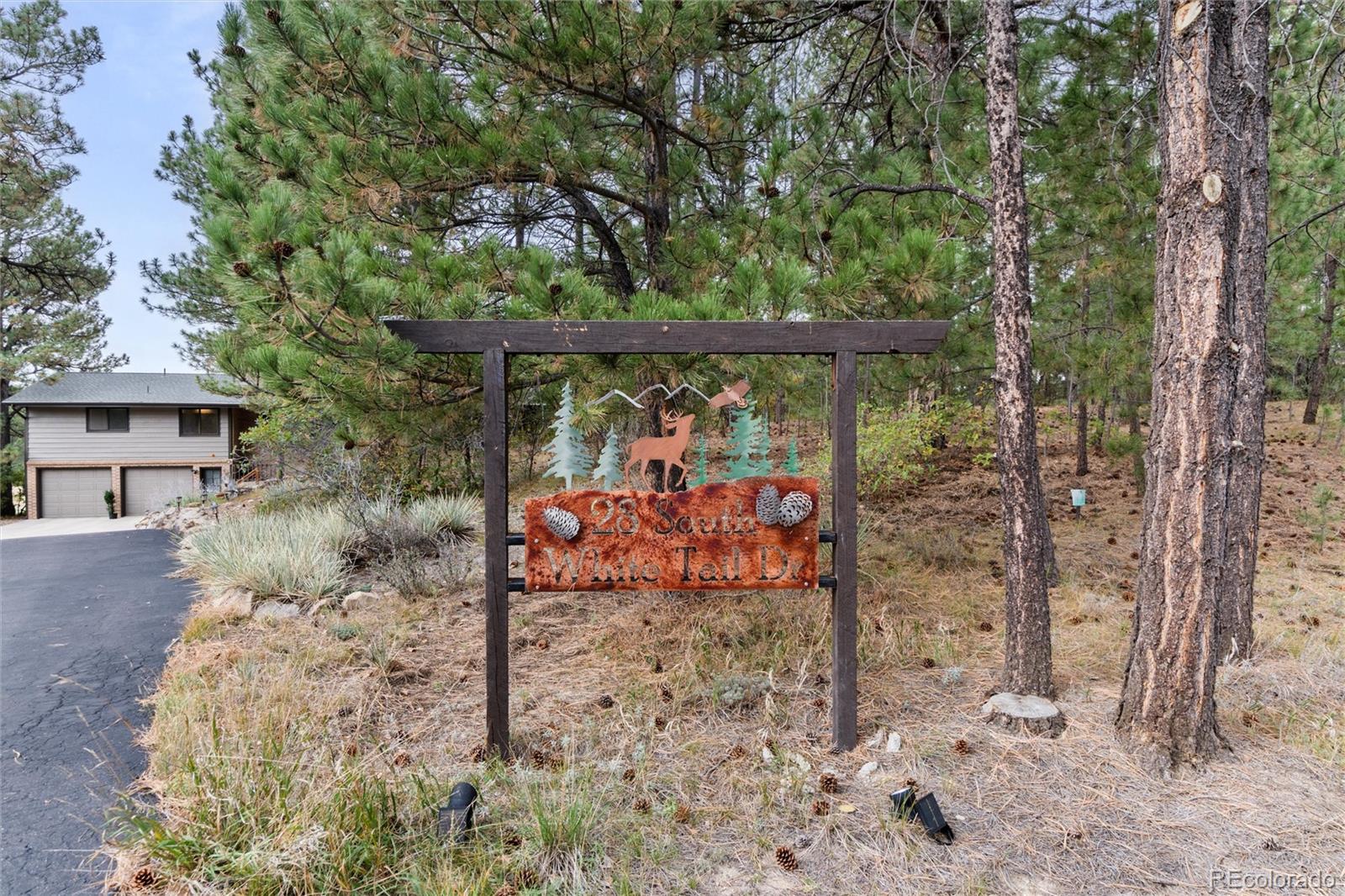 28 S White Tail Drive