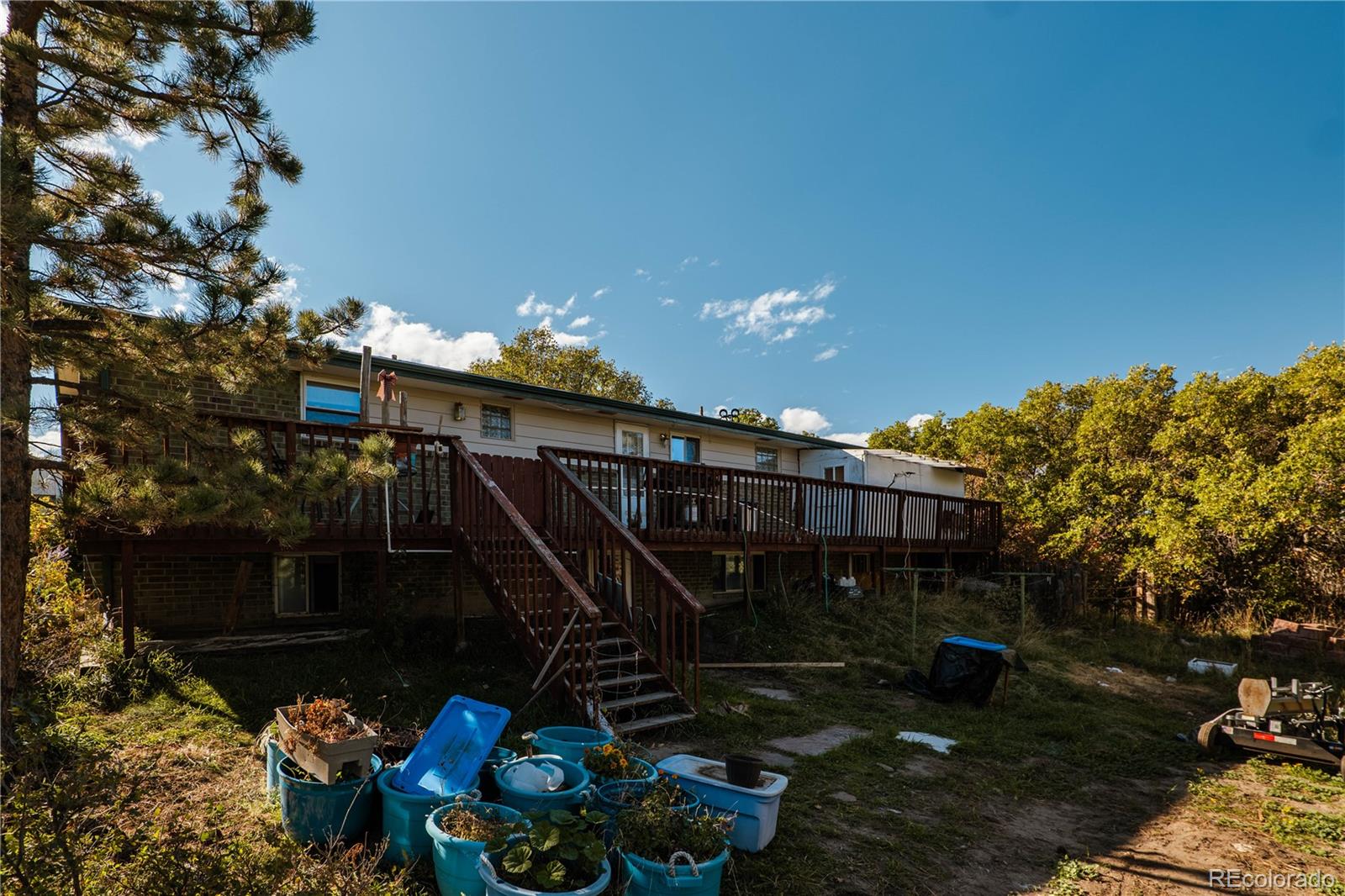 1168 Buttercup Road