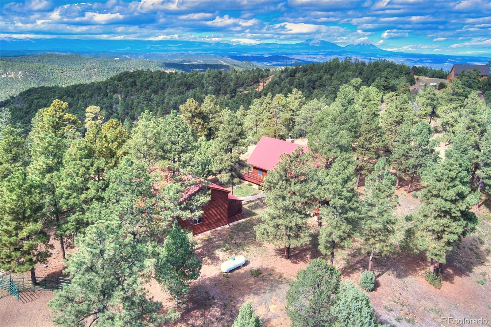 33082 Tall Timber Trace